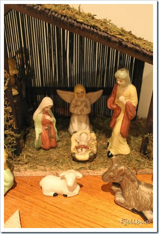 IMG_5135 IMG_5135