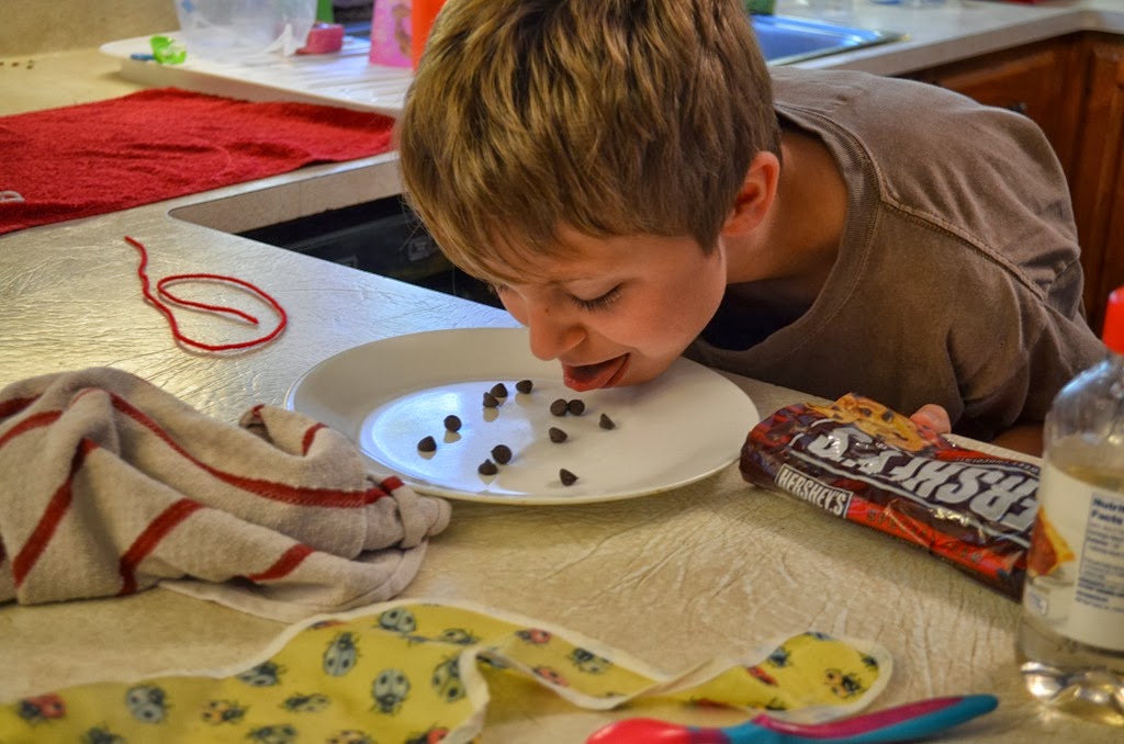 [DSC_5401%255B6%255D.jpg]