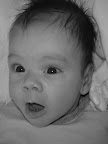 DSC01362.JPG