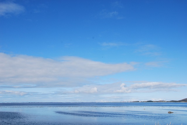 [DSC_5239%255B4%255D.jpg]