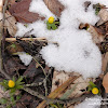 dsc06534.jpg