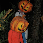 DSC_8563-2.jpg