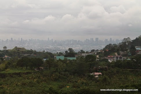 IMG_3315 IMG_3315