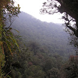The view from Karang (Daniel Quinn, September 2009) The view from Karang (Daniel Quinn, September 2009)
