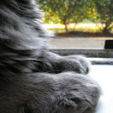 IMG_3989.JPG