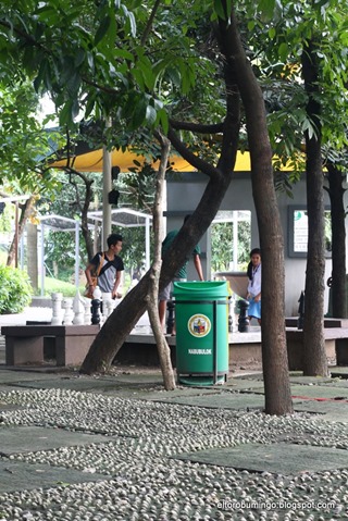 IMG_5532 IMG_5532
