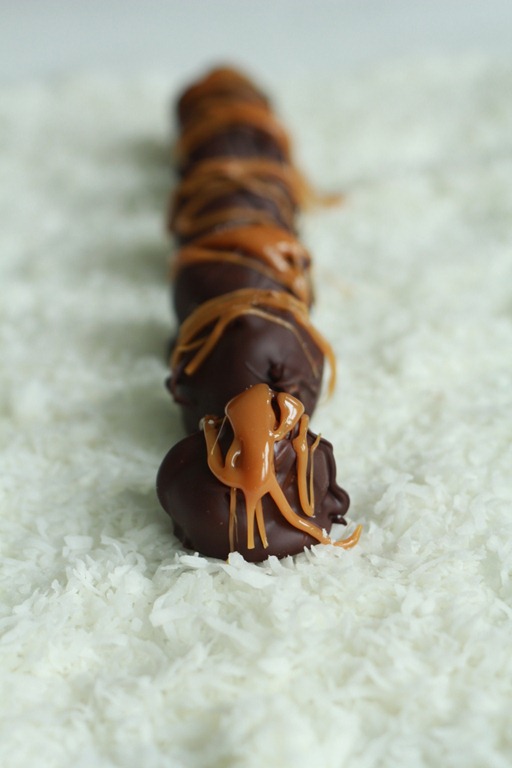 [peanut%2520butter%2520coconut%2520candies%255B3%255D.jpg]