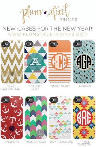 [PlumStreetPrints_NewCases_January2013%255B3%255D.jpg]