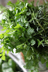 And Franny, take a look at this very fragrant chervil and rosemary.