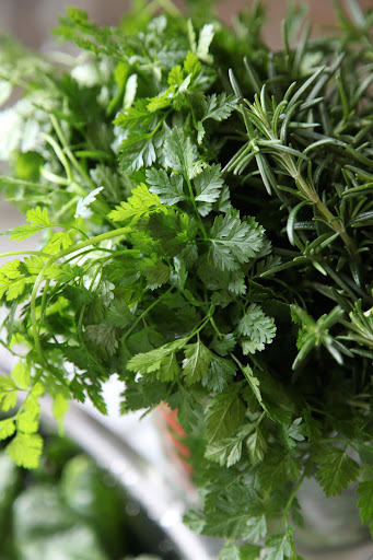 And Franny, take a look at this very fragrant chervil and rosemary.