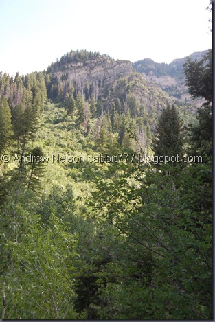DSC_0920 DSC_0920