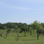 vimg_1903.jpg