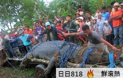 菲律賓獵人活捉的史前巨鱷