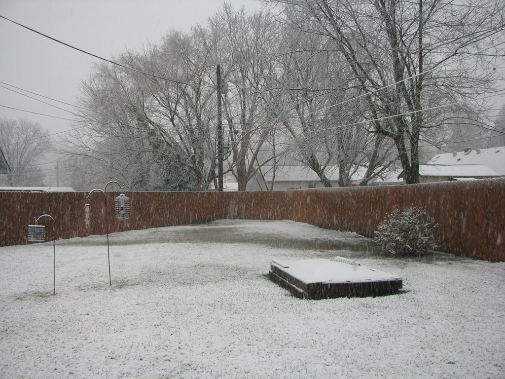[IMG_0009%255B6%255D.jpg]