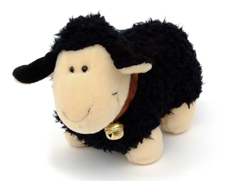 [black%2520sheep%255B4%255D.jpg]