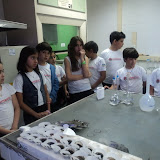 fotos diversas 809.jpg