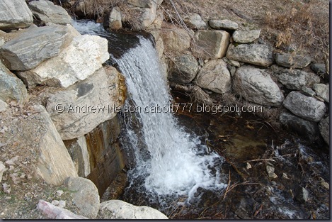 DSC_0046 DSC_0046