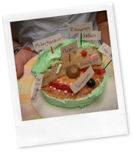 Photo_96F0EFBF-ED9A-1136-F88A-DA8725FF9B2F