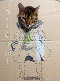 Best Cat Cosplay Ever!