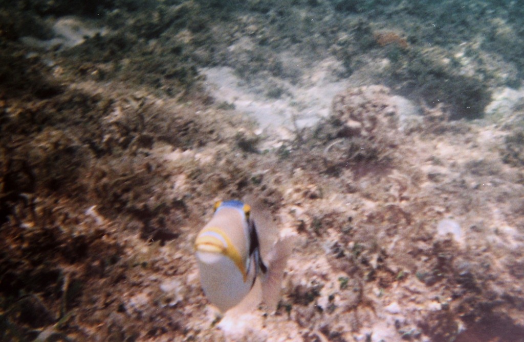 [IMG_7263%255B4%255D.jpg]
