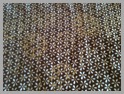 IMG_0739 IMG_0739