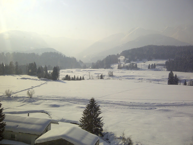 IMG-20120212-00123.jpg