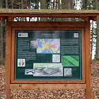singold-bote_waldlehrpfad-schwabegg_040.jpg