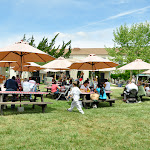 STAC_Festival_2009-81.jpg