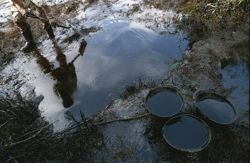 agua contaminacion agua contaminacion