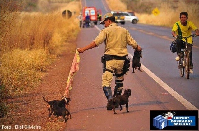 [640x480-aa17132cfe531f3164127c7236653898%255B3%255D.jpg]