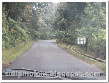 IMG_4735 IMG_4735