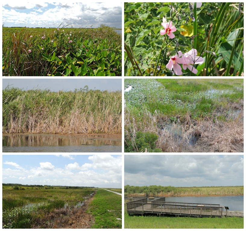 [nature3%255B3%255D.jpg]