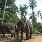 l040.jpg