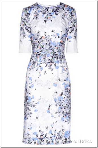 Erdem Ivy floral-print cotton-sateen dress