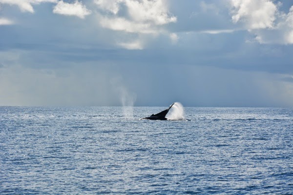 DSC_3317.JPG DSC 3317