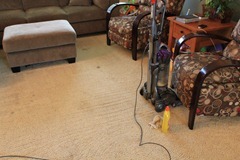 IMG_2446 IMG_2446