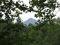 IMG_0884.JPG Photo