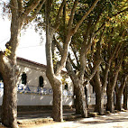 Pal&Atilde;&iexcl;cio da Brejoeira