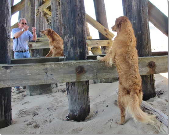 BeachTreatsRich BeachTreatsRich