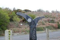 IMG_8015.JPG Photo