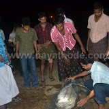 Udumbu at Nayathode 3.JPG