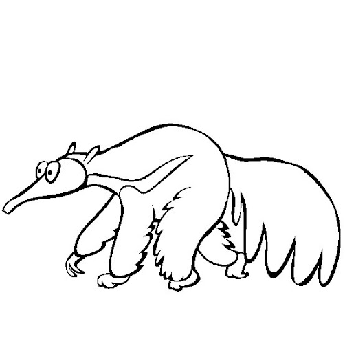 Dibujos para colorear de oso hormiguero - Imagui