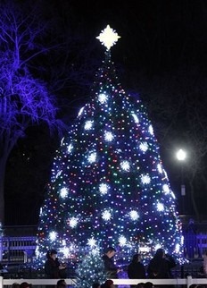 [DC-tree3.jpg]