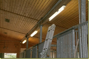 IMG_2132 IMG_2132