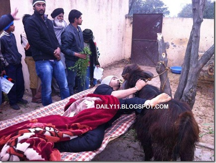 diljit in jatt and juliet punjabi film