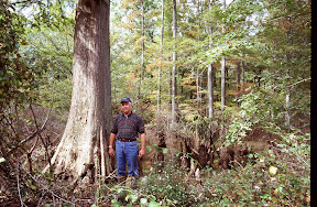 The Planters - Miller Lumber Company forester, Albert Carter, beside a cypress tree on company lands south of Jackson, Tennessee. When this photograph was taken in the summer of 1997, Mr. Carter bragged about the fact that Miller's forests held naturally regenerating residual trees that 99 percent of the company's competitors would have given they eye teeth to have. He may have been right. Most southern landowners don't hold their timber as long as Miller has over the years.