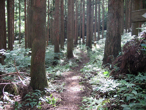 だんご渕へ