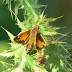 P1170791