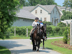 Oh, look!  Here comes Martha and Betsy riding Rutger and Rinze.  What are my chances?