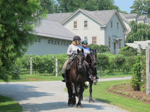 Oh, look!  Here comes Martha and Betsy riding Rutger and Rinze.  What are my chances?